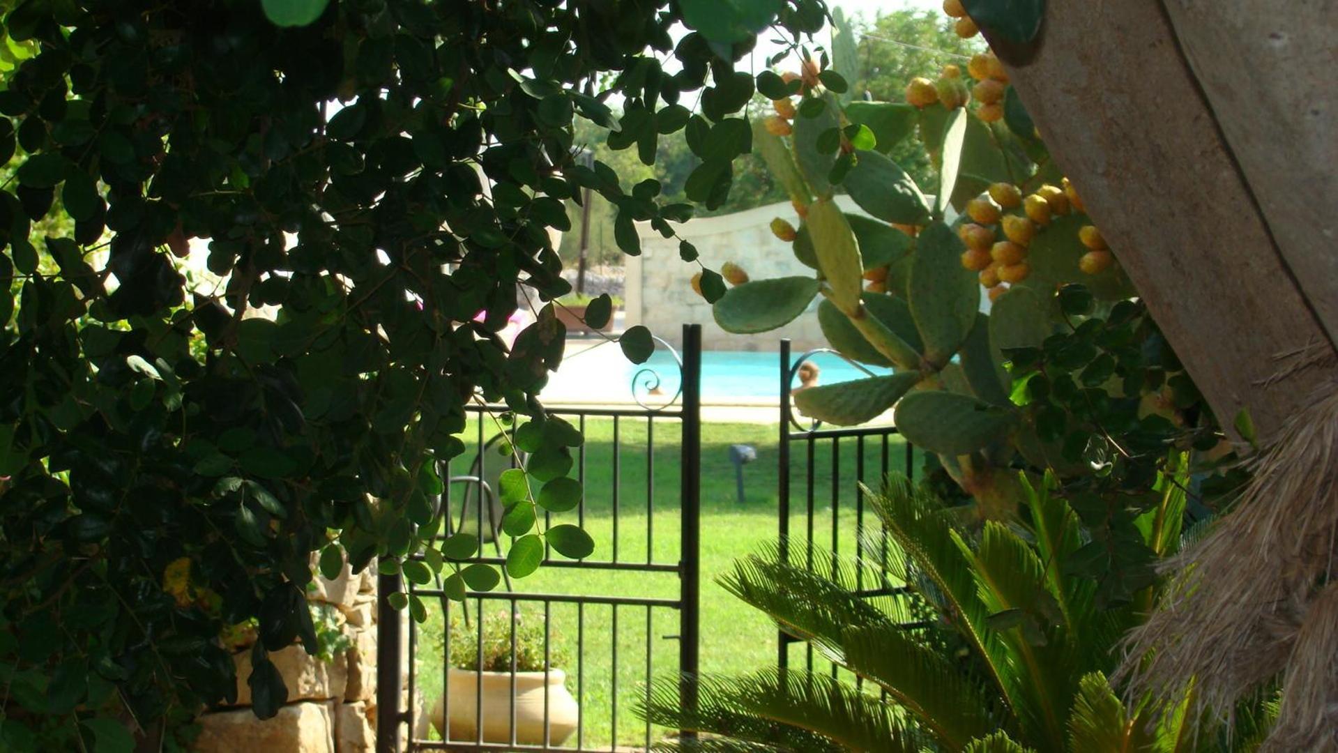 Masseria Ciancio Casa Serrafiori エクステリア 写真