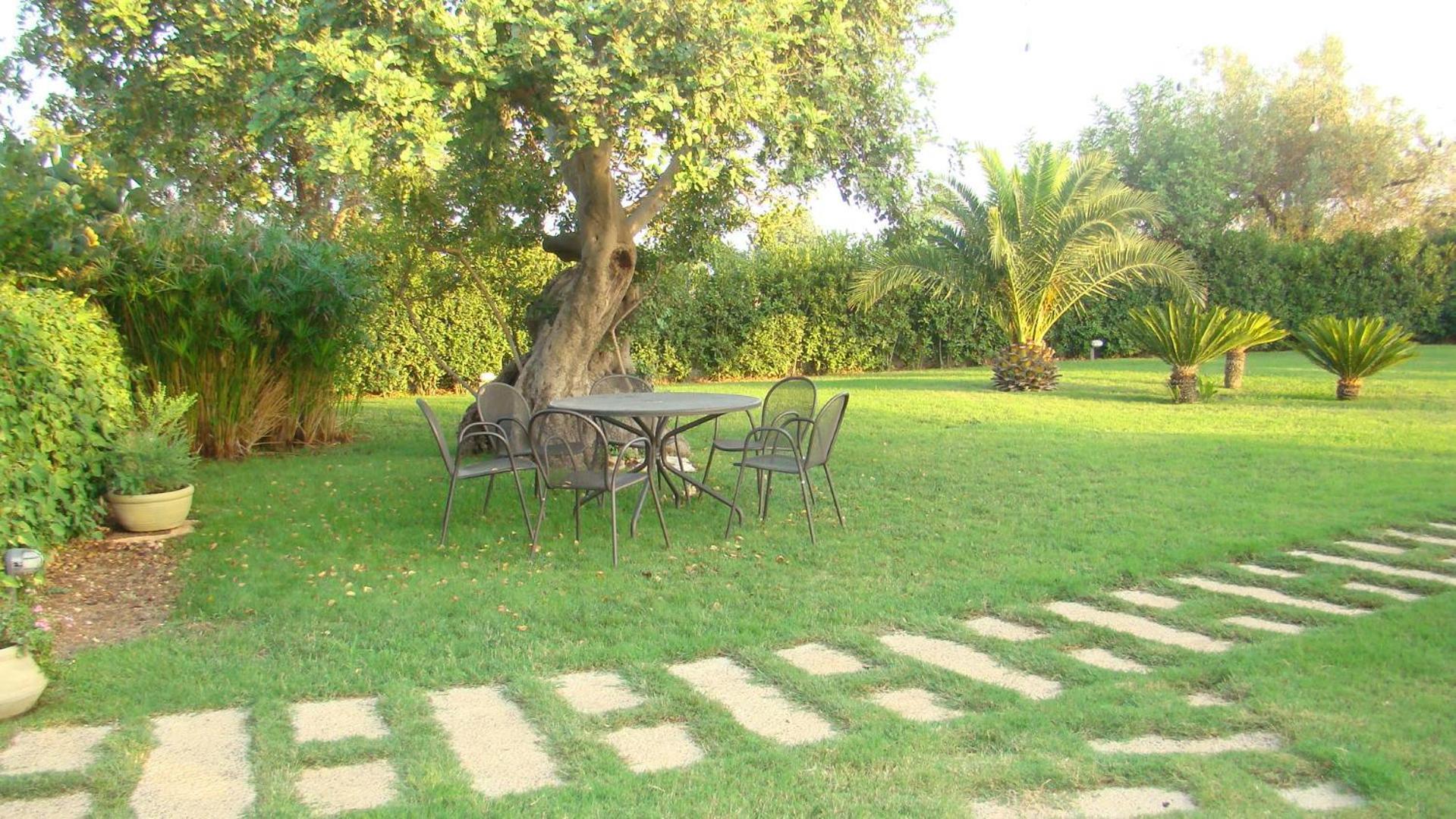 Masseria Ciancio Casa Serrafiori エクステリア 写真