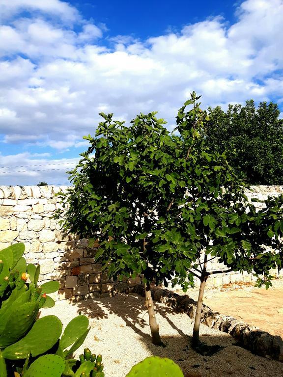 Masseria Ciancio Casa Serrafiori エクステリア 写真